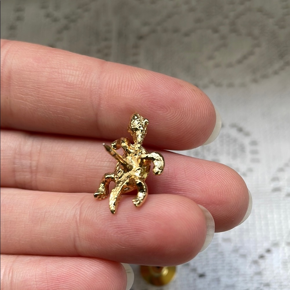 Charming Gold Tone Turtle Pin with Sparkly Rhinestone Accents - Picture 6 of 10